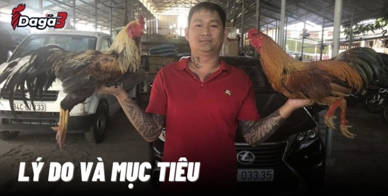 Mít Trà Cú sáng lập trang đá gà trực tiếp besteltafel.nl